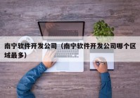 南宁软件开发公司（南宁软件开发公司哪个区域最多）