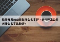 软件开发的公司取什么名字好（软件开发公司叫什么名字比较好）