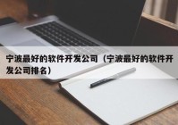 宁波最好的软件开发公司（宁波最好的软件开发公司排名）