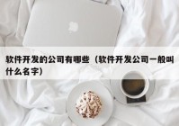 软件开发的公司有哪些（软件开发公司一般叫什么名字）